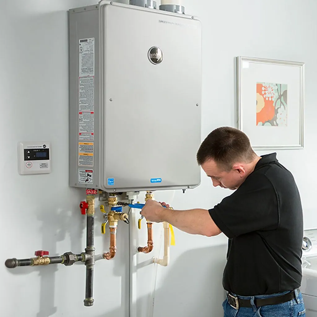 tankless water heater repair in Roy, WA